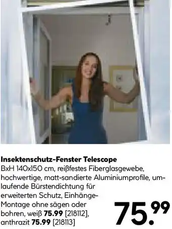 Hellweg Insektenschutz-Fenster Telescope Angebot