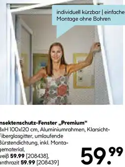 Hellweg Insektenschutz-Fenster Premium Angebot