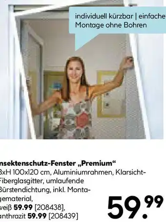 Hellweg Insektenschutz-Fenster Premium Angebot