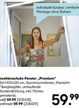 Hellweg Insektenschutz-Fenster Premium Angebot