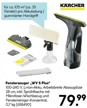 Hellweg KÄRCHER Fenstersauger WV 5 Plus Angebot