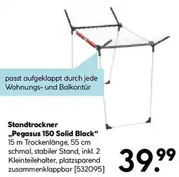 Hellweg Standtrockner Pegasus 150 Solid Black Angebot