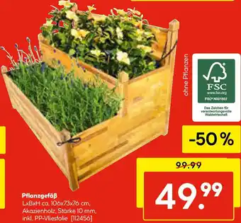 Hellweg Pflanzgefäß Angebot