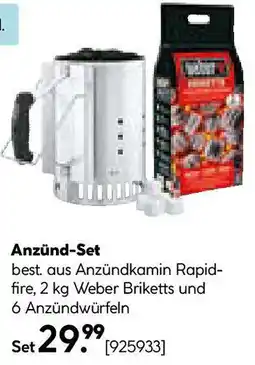 Hellweg Anzündbest. aus Anzündkamin Rapid- fire, 2 kg Weber Briketts und Set Angebot