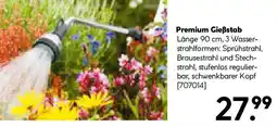 Hellweg Premium Gießstab Angebot
