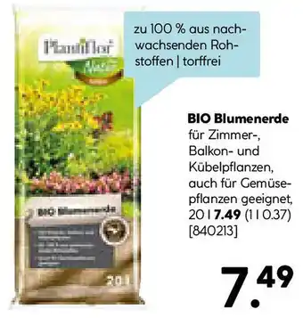 Hellweg BIO Blumenerde Angebot