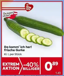Billa Da komm’ ich her! frische Gurke Angebot