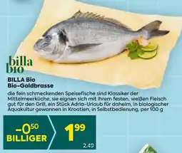 Billa BILLA BIO Bio-Goldbrasse Angebot