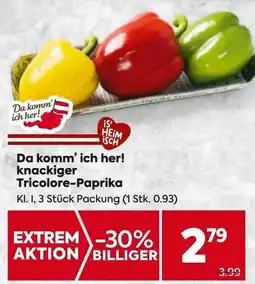 Billa Da komm' ich her! knackiger Tricolore-Paprika Angebot