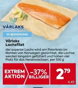 Billa Vårlaks Lachsfilet Angebot