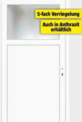 Bauhaus Nebeneingangstür KS/KF02 Angebot
