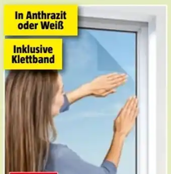 Bauhaus Windhager Fliegengitter Angebot