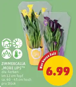 PENNY Zimmercalla more lips Angebot