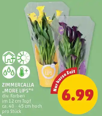 PENNY Zimmercalla more lips Angebot