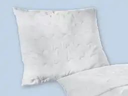 PENNY Kopfkissen Angebot