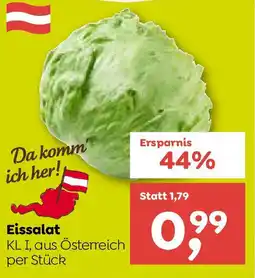 ADEG Eissalat Angebot