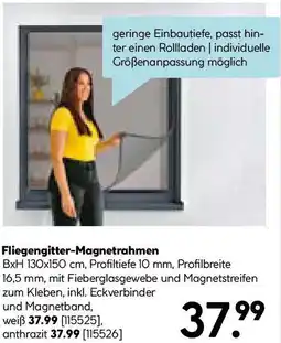 Hellweg Fliegengitter-Magnetrahmen Angebot