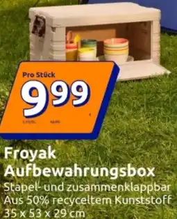 Action Froyak Aufbewahrungsbox Angebot