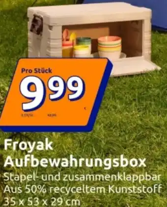 Action Froyak Aufbewahrungsbox Angebot