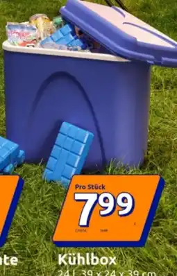 Action Kühlbox Angebot
