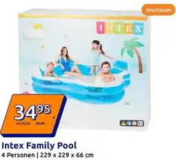 Action Intex Family Pool Angebot