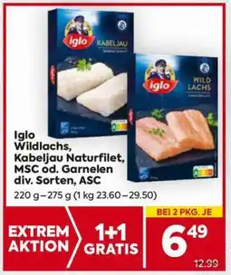 Billa Iglo Wildlachs, Kabeljau Naturfilet, MSC od. Garnelen div. Sorten, ASC Angebot