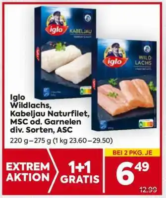Billa Iglo Wildlachs, Kabeljau Naturfilet, MSC od. Garnelen div. Sorten, ASC Angebot