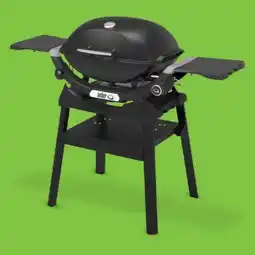 0815 Weber Gasgrill Q2200N Angebot