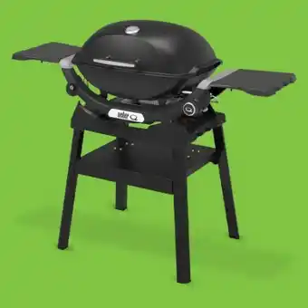 0815 Weber Gasgrill Q2200N Angebot