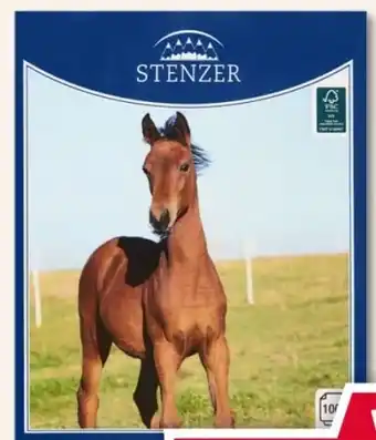 Woolworth Stenzer Malblock A4 Angebot