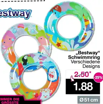 Woolworth Bestway Schwimmring Angebot