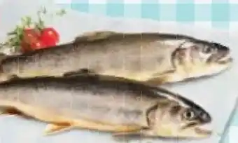 Maximarkt Spar Natur pur Bio-Bachsaibling Angebot