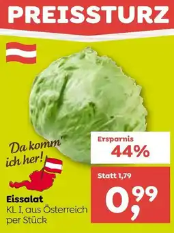ADEG Eissalat Angebot