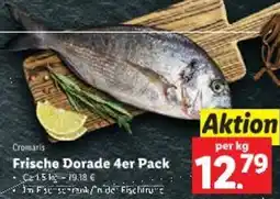 Lidl Frische Dorade Angebot