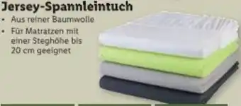 Lidl Jersey-Spannleintuch Angebot