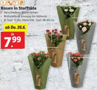 Lidl Rosen in Stofftüte Angebot
