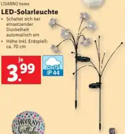 Lidl LED-Solarleuchte Angebot