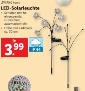 Lidl LED-Solarleuchte Angebot