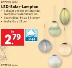Lidl LIVARNO home LED-Solar-Lampion Angebot