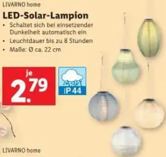 Lidl LIVARNO home LED-Solar-Lampion Angebot