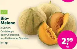 Denn's Biomarkt Bio- Melone Angebot