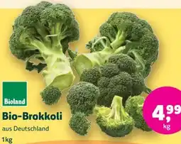 Denn's Biomarkt Bio-Brokkoli Angebot
