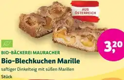 Denn's Biomarkt Bio-Blechkuchen Marille Angebot