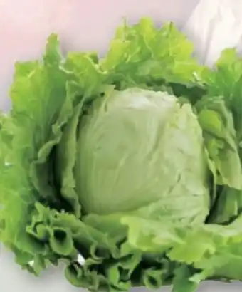 T&G Romanischer Salat Angebot