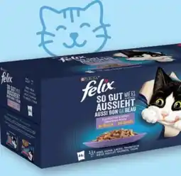 T&G Purina Felix Katzensnacks Angebot
