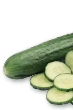 T&G Salatgurke Angebot