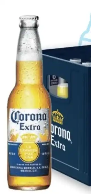 T&G Corona Extra Mexican Beer Angebot