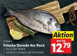 Lidl Frische Dorade 4er Pack Angebot