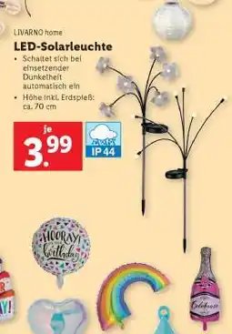 Lidl LIVARNO home LED-Solarleuchte Angebot