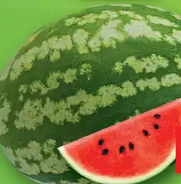 Lidl Riesen-Wassermelone Angebot